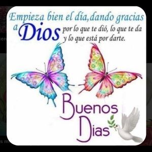 Meet your Posher, Claudia